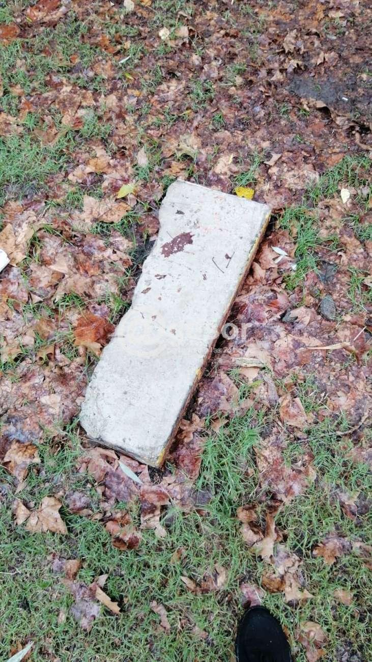 Image4